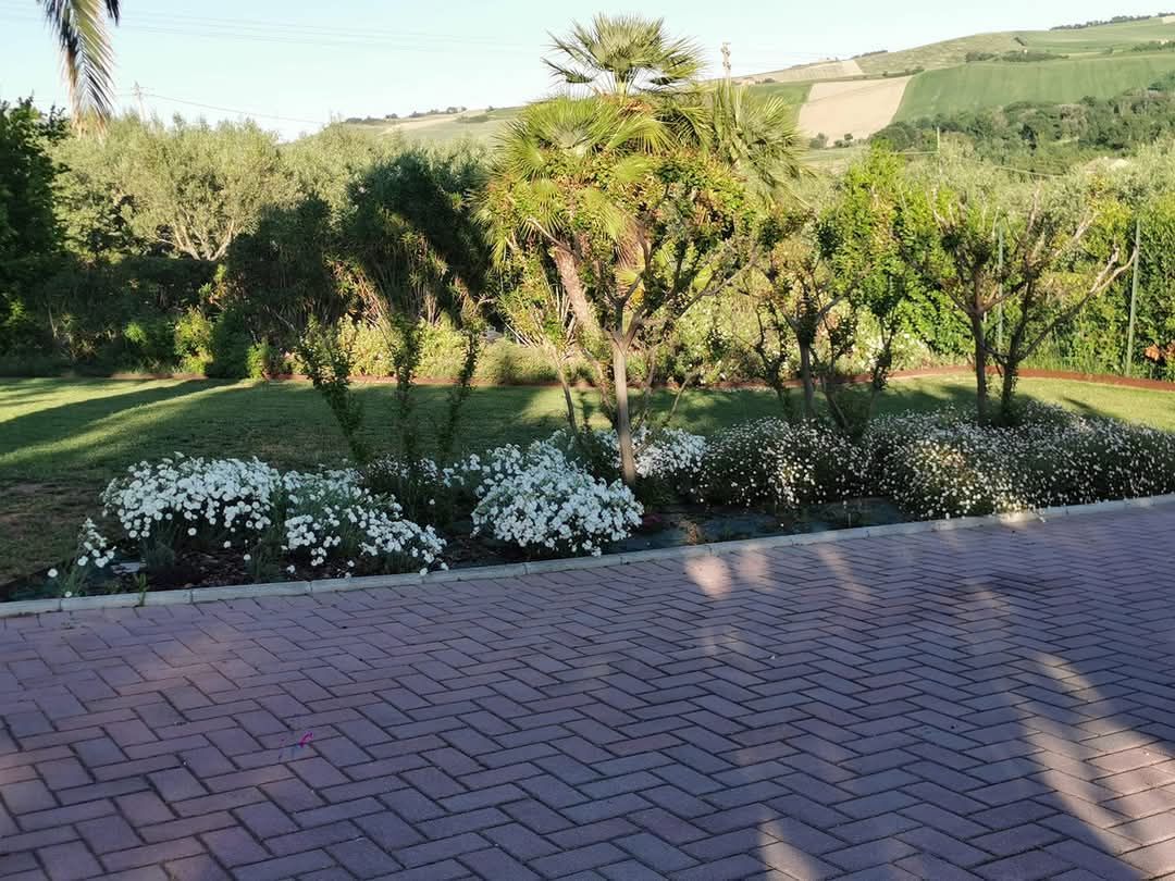 Un vialetto in mattoni che conduce a un giardino pieno di fiori e alberi.