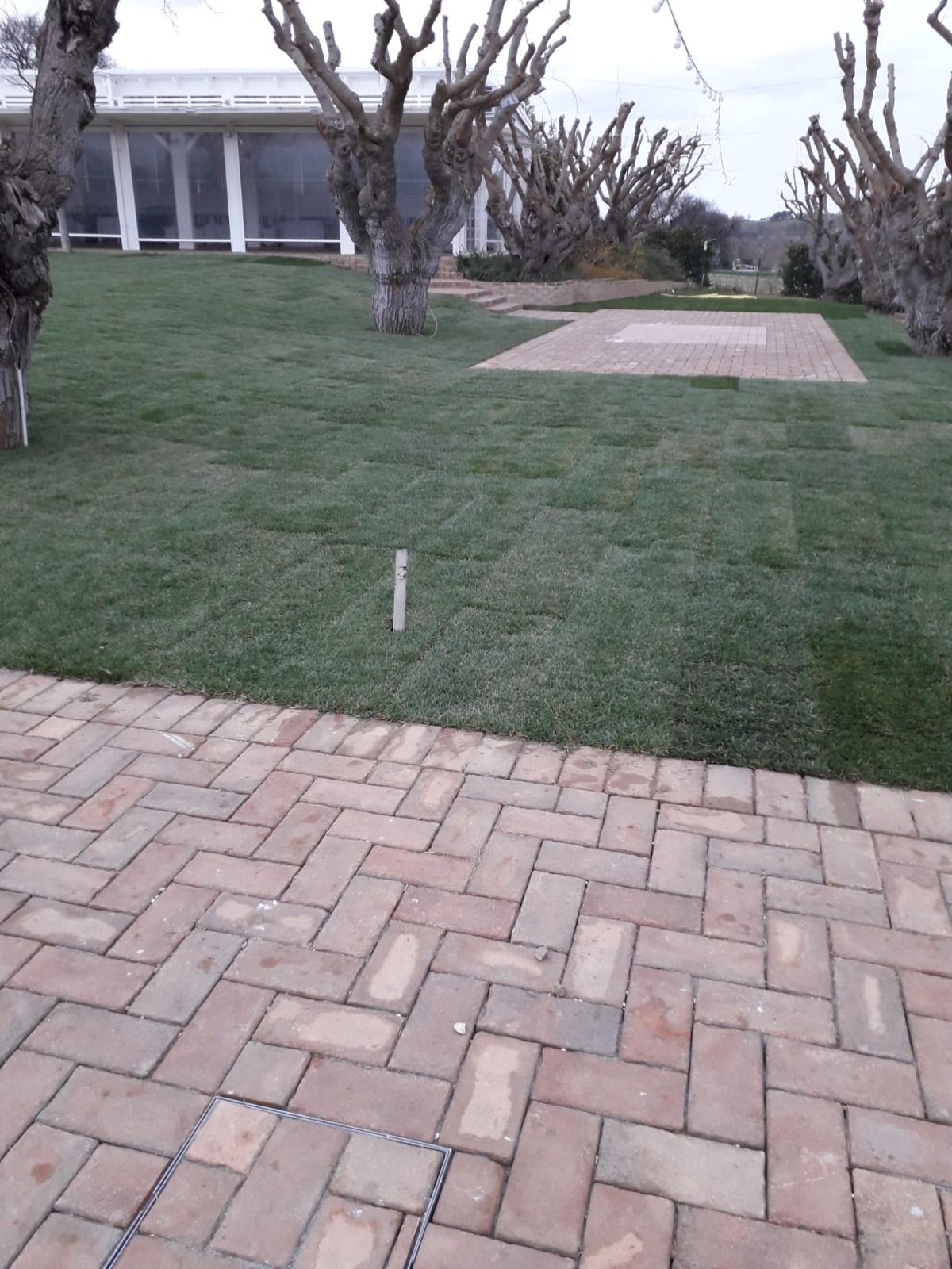 Una passerella in mattoni che conduce a un lussureggiante campo verde
