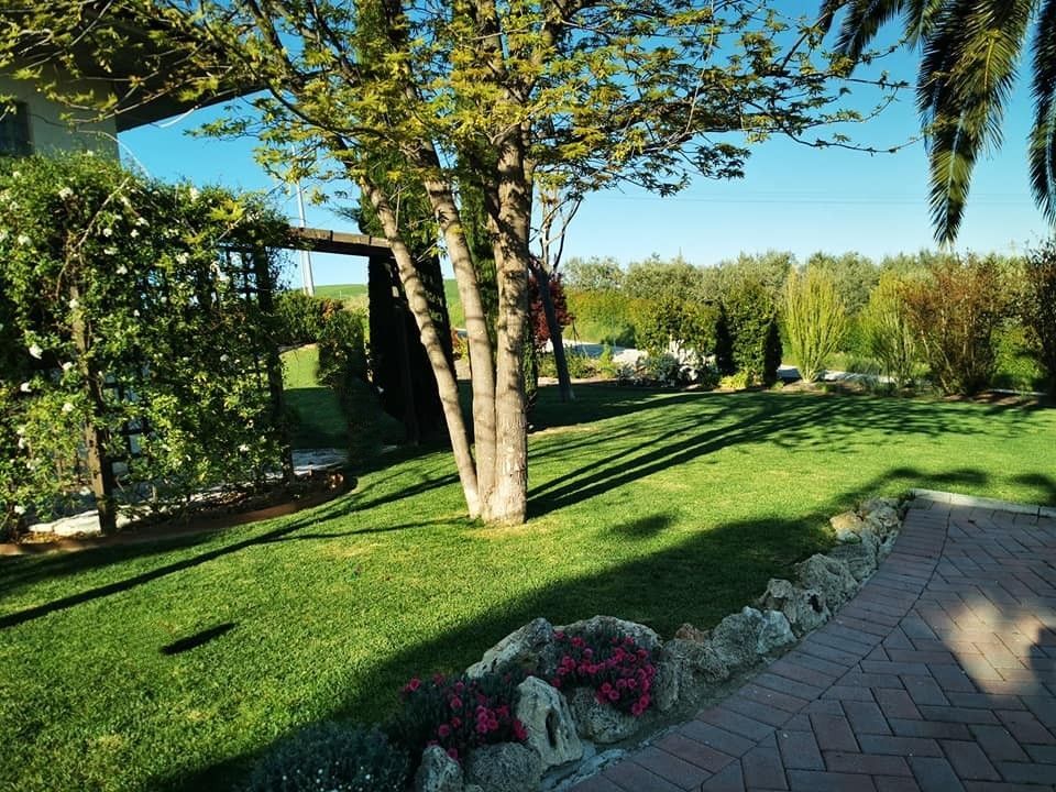 Un prato verde lussureggiante con un sentiero in mattoni che conduce a una casa