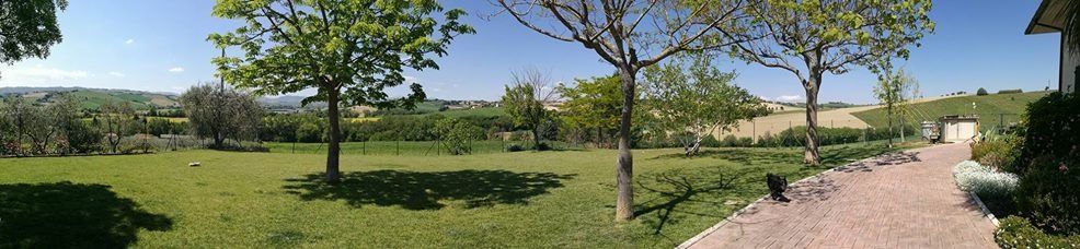 Una vista panoramica di un parco con alberi e un sentiero.