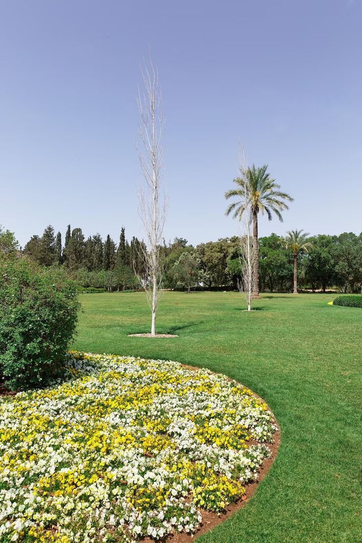 C'è una fontana al centro del parco circondata da fiori.