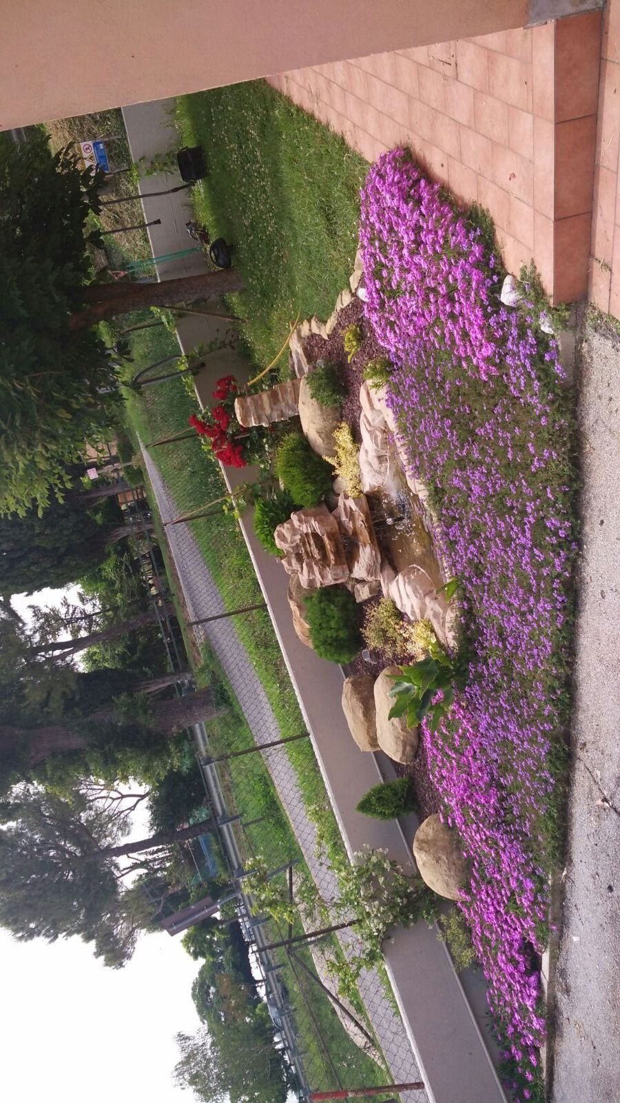 Un giardino con fiori viola e rocce di fronte a una casa.