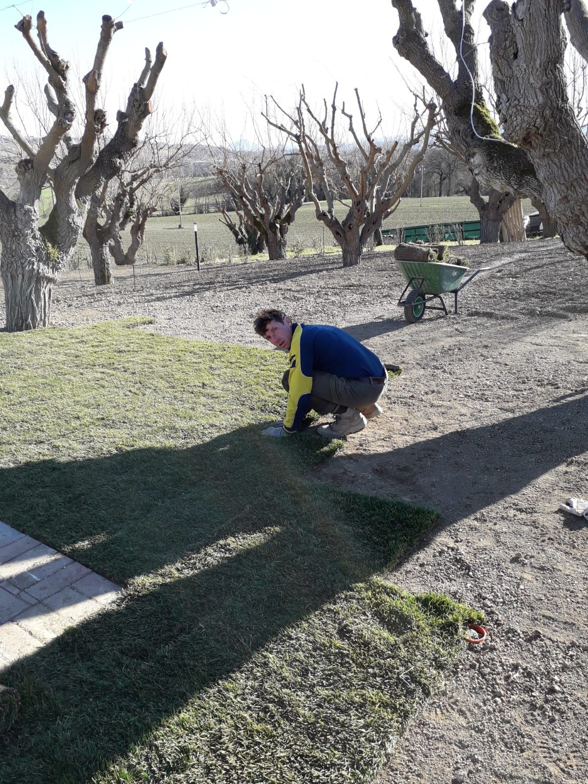Un uomo è inginocchiato sull'erba con una carriola sullo sfondo.