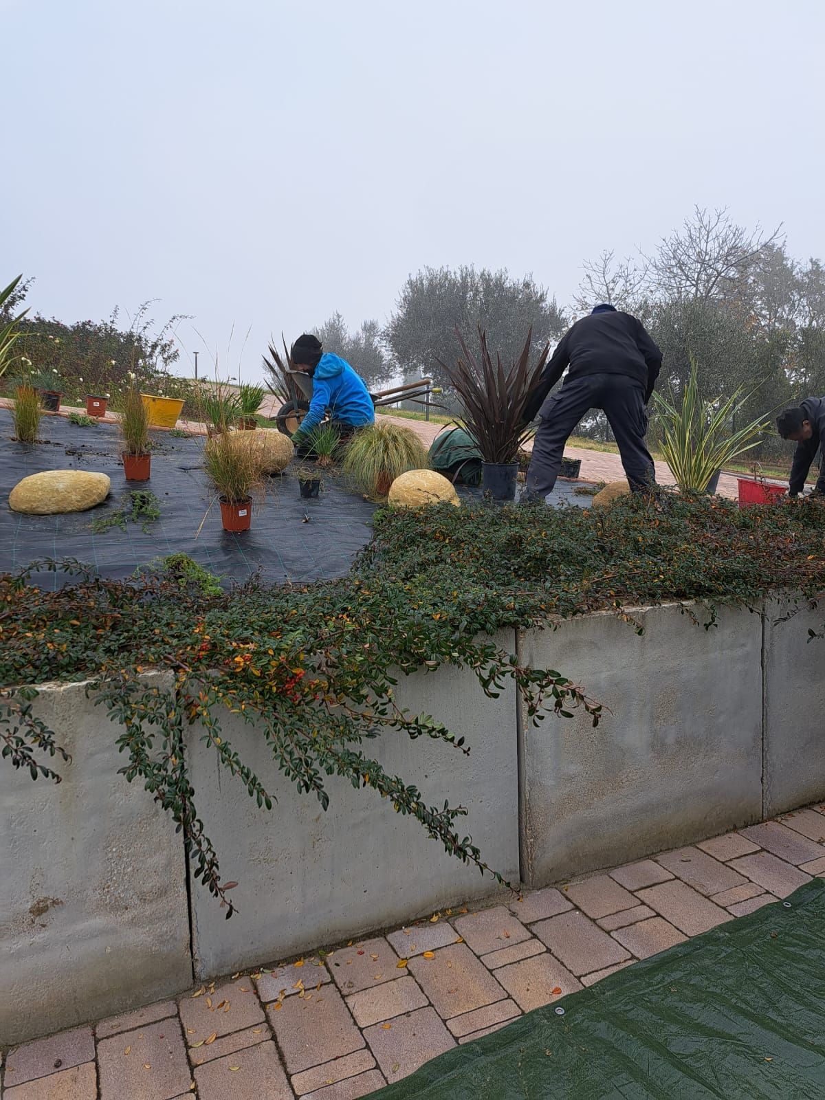 Un gruppo di persone sta lavorando in un giardino.