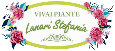 Vivai Piante - Lanari Stefania Logo 