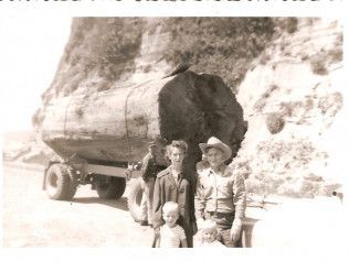 A Cut Above Tree Service