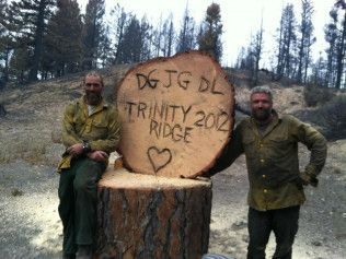 A Cut Above Tree Service