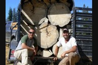 A Cut Above Tree Service