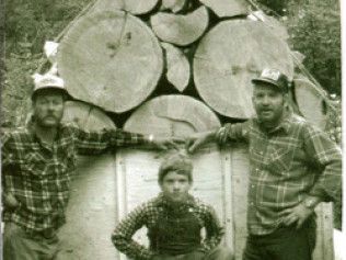 A Cut Above Tree Service