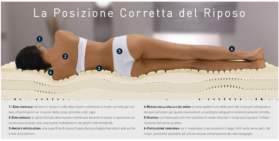 Poster con la rappresentazione della schiena umana