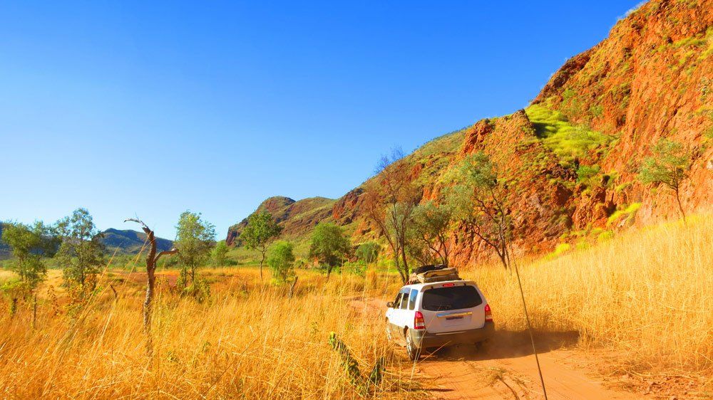A white 4WD vehicle drives along a dusty outback track surrounded by dry golden grass, sparse trees