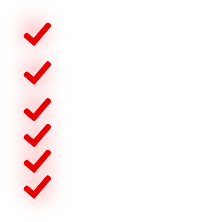 Red checkmarks in a vertical list on a white background.