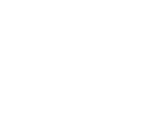 Plano Plumbers Logo