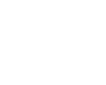 Plano Plumbers Logo