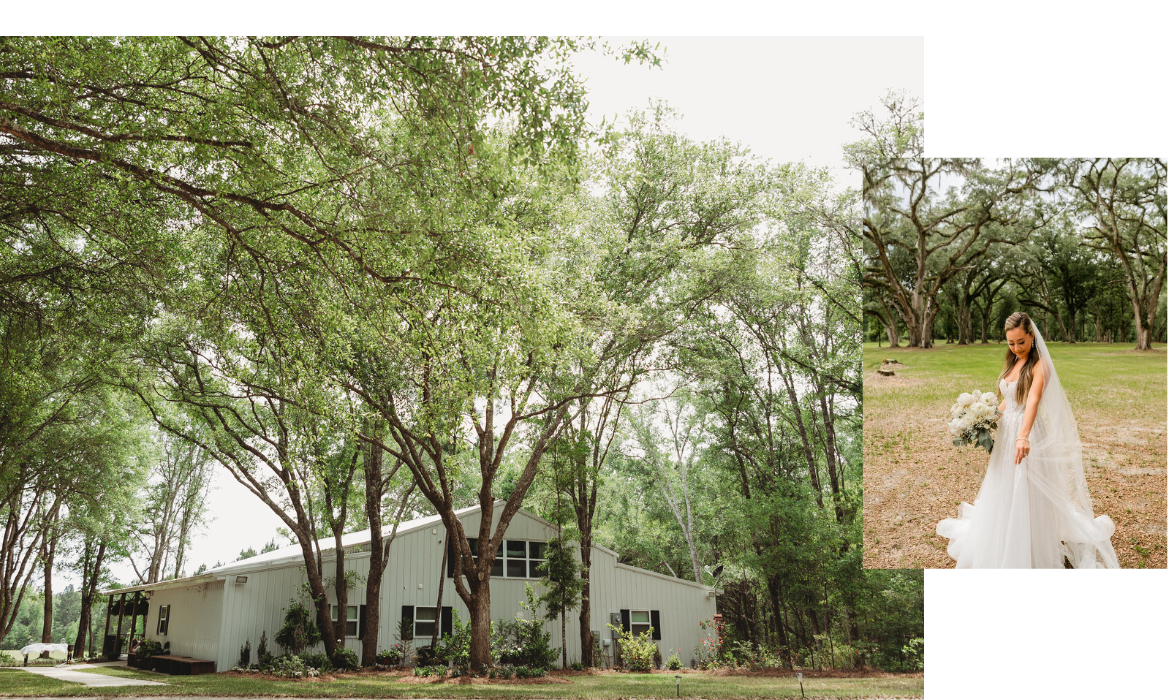 live oak plantation collage