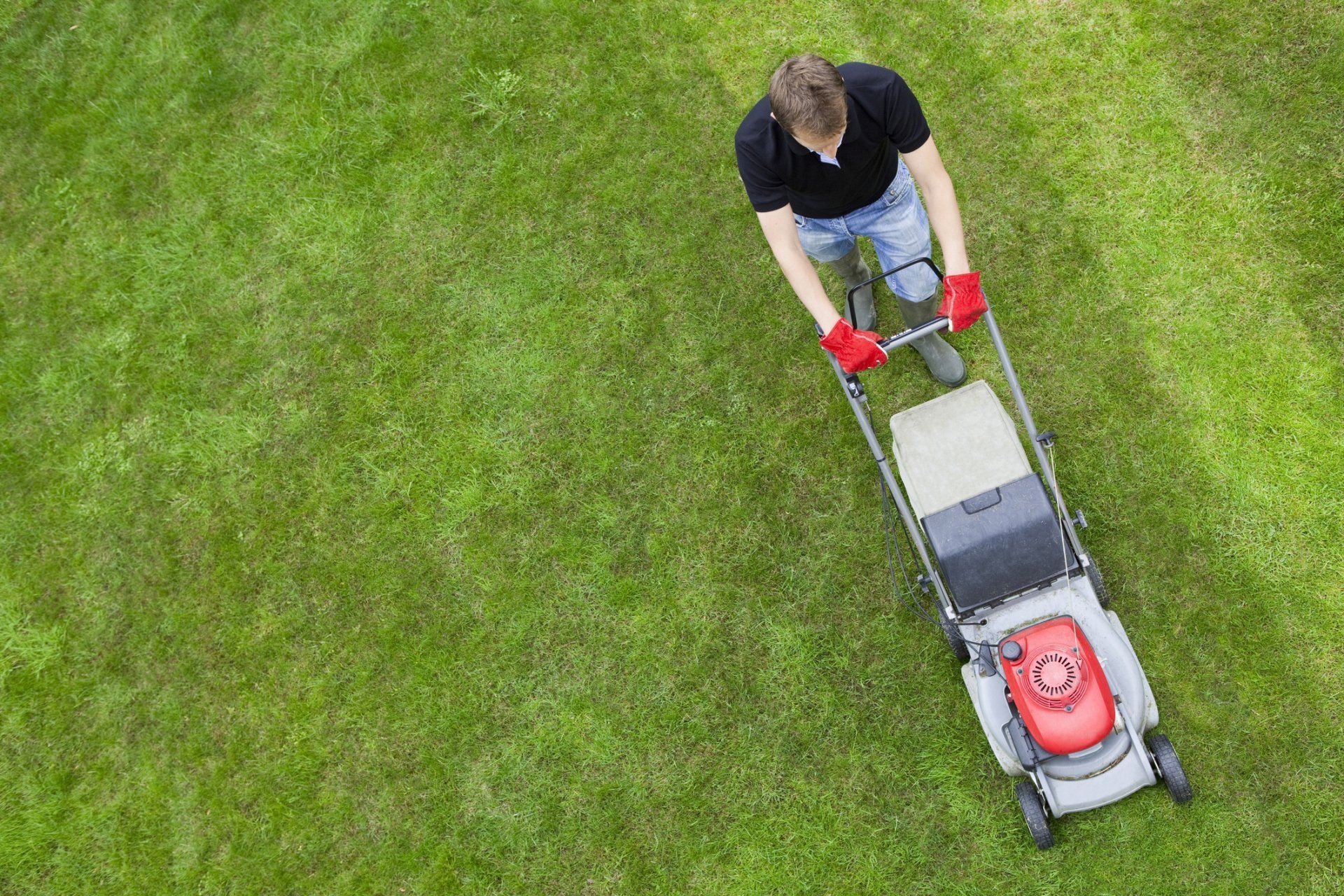 man lawn mowing with machine
