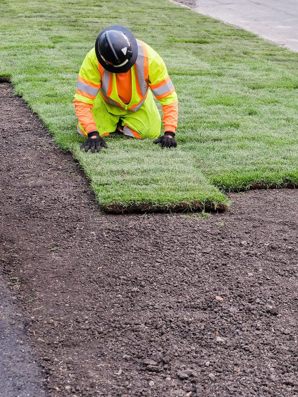 Landscaping sod installation work