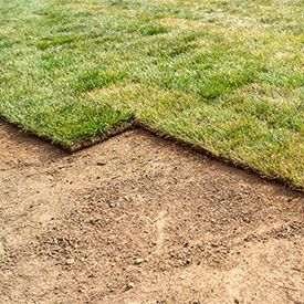 Close-up view of edge of newly laid turf grass at the landscaping site. Straigh line of new freshly installed green rolled lawn grass. Turf with green grass on soil in field