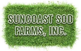 Suncoast Sod Farms Inc logo