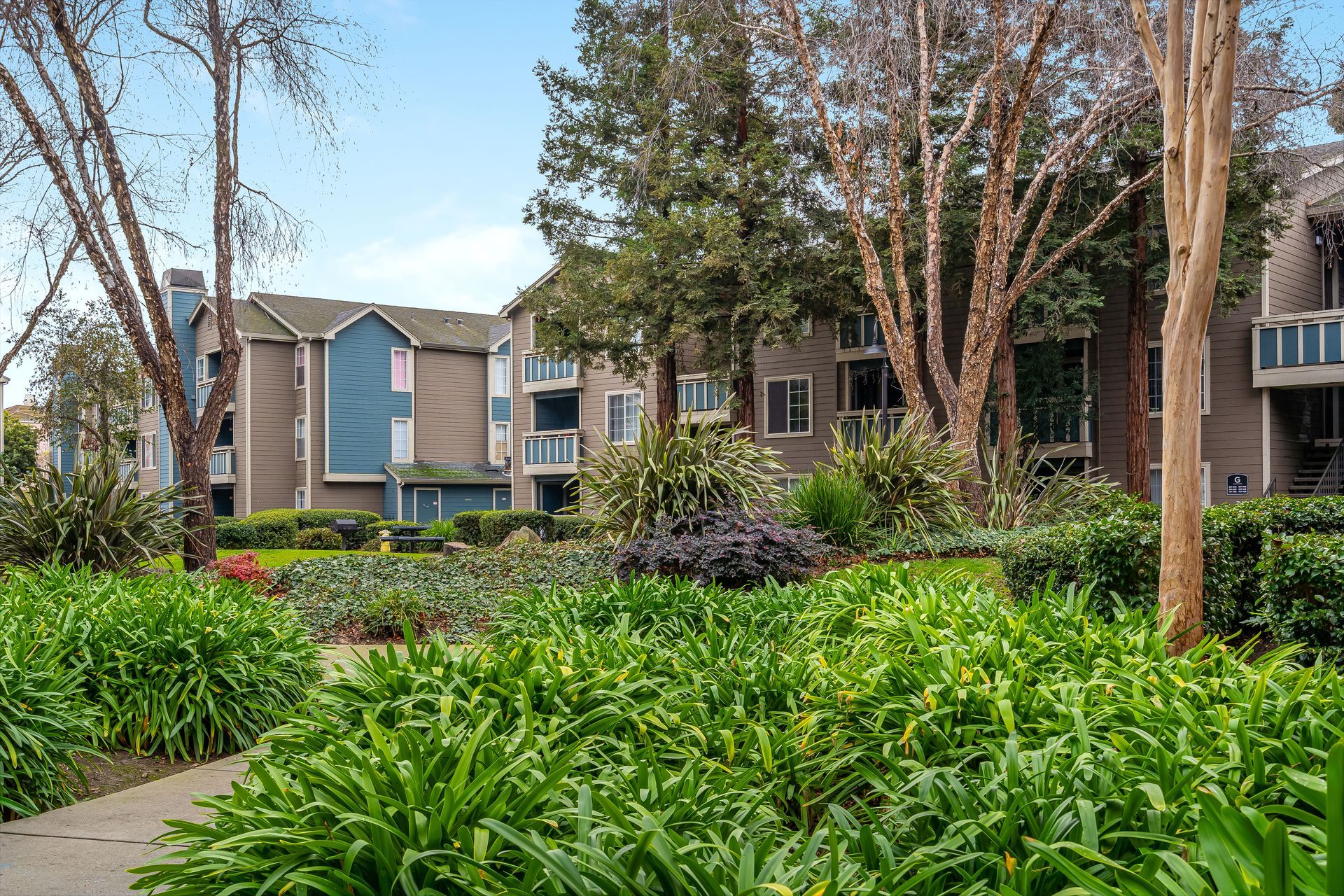 Apartment buildings with blue and tan siding behind a lush, green garden.
