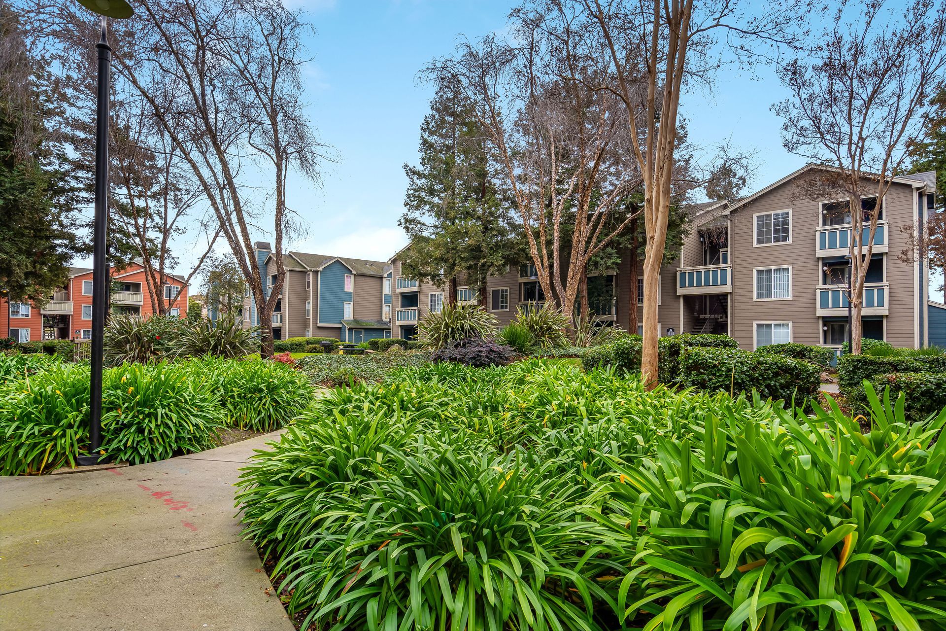Pathway through lush green landscaping in front of apartment buildings.