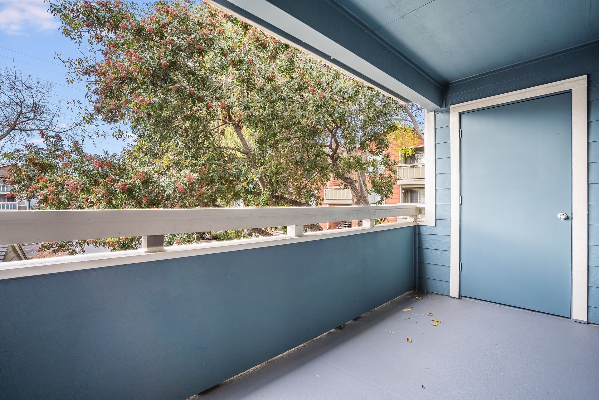 Balcony with blue walls, white railing, and a blue door. Trees and sky visible through the opening.
