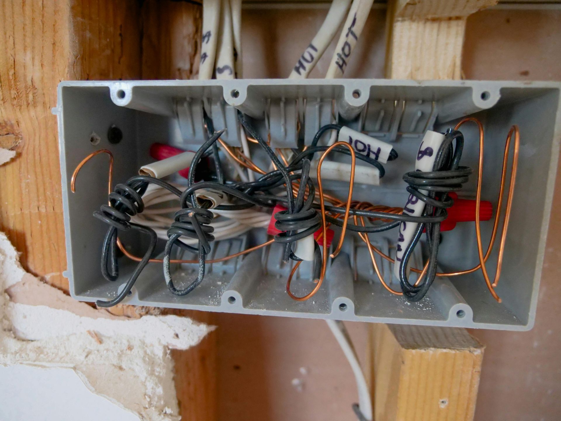 Electrical junction box with tangled wires and wire connectors. Box is set in wooden studs.