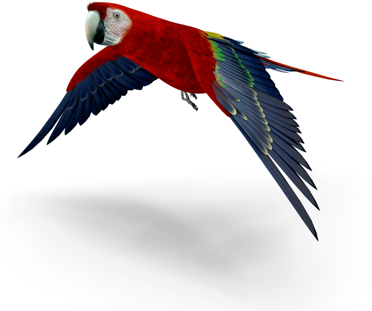 parrot tropical paver sealing