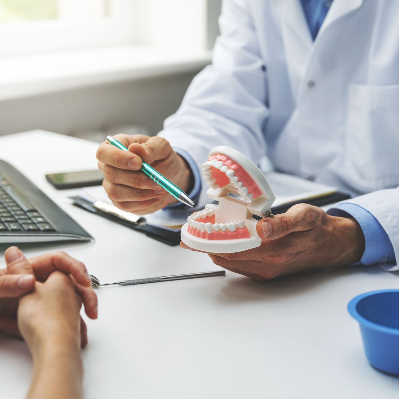 A dentist is showing a model of teeth to a patient