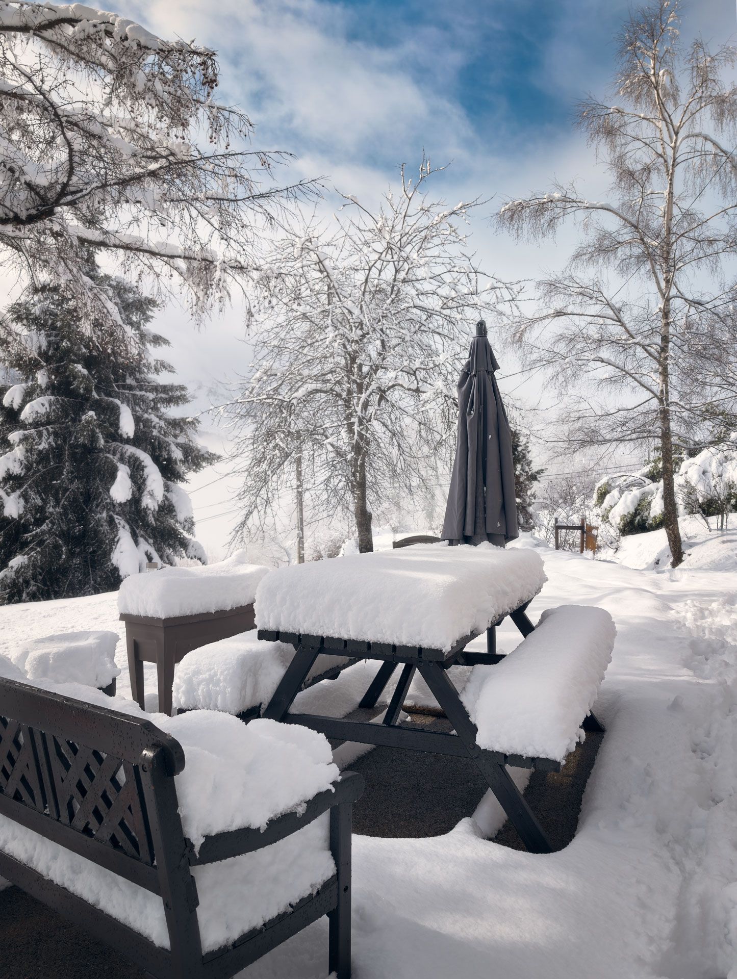 Vase avec une rose salle de bain
