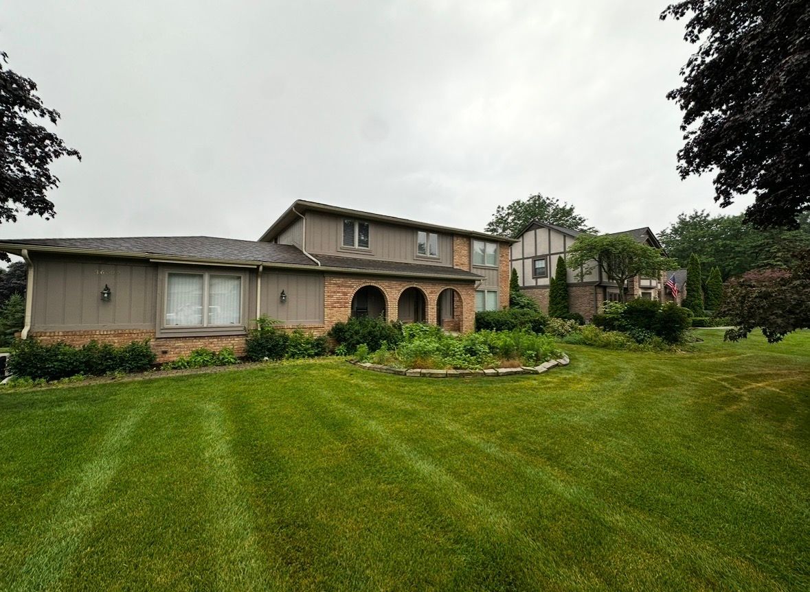 A dirt path leading to a shed in a backyard