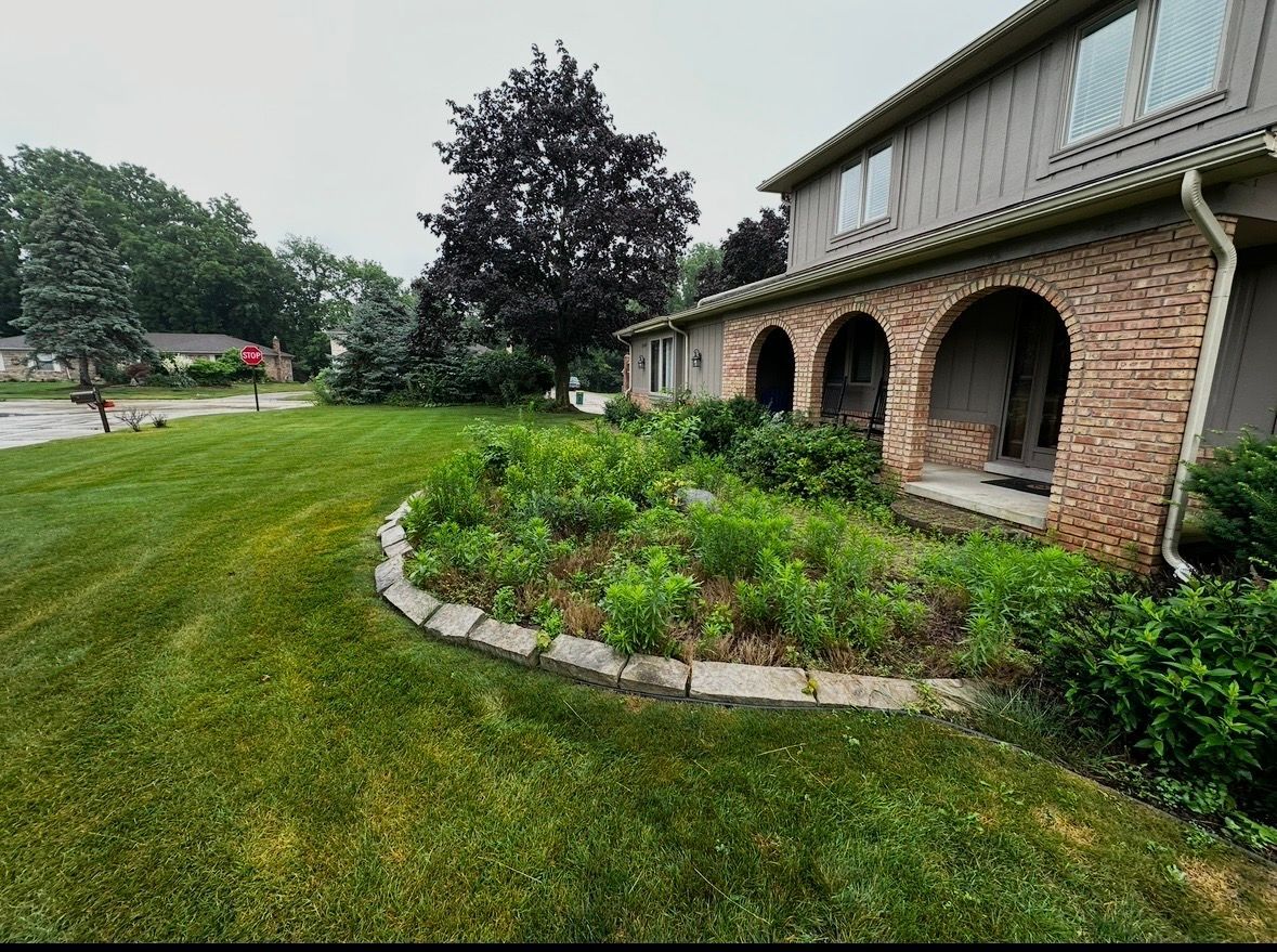 A backyard with a shed and a playground in the background.