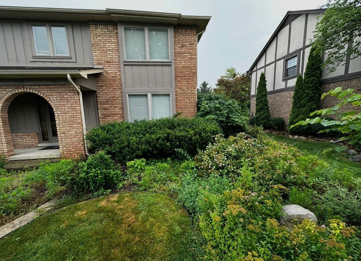 A backyard with a fence and a pool in the background.
