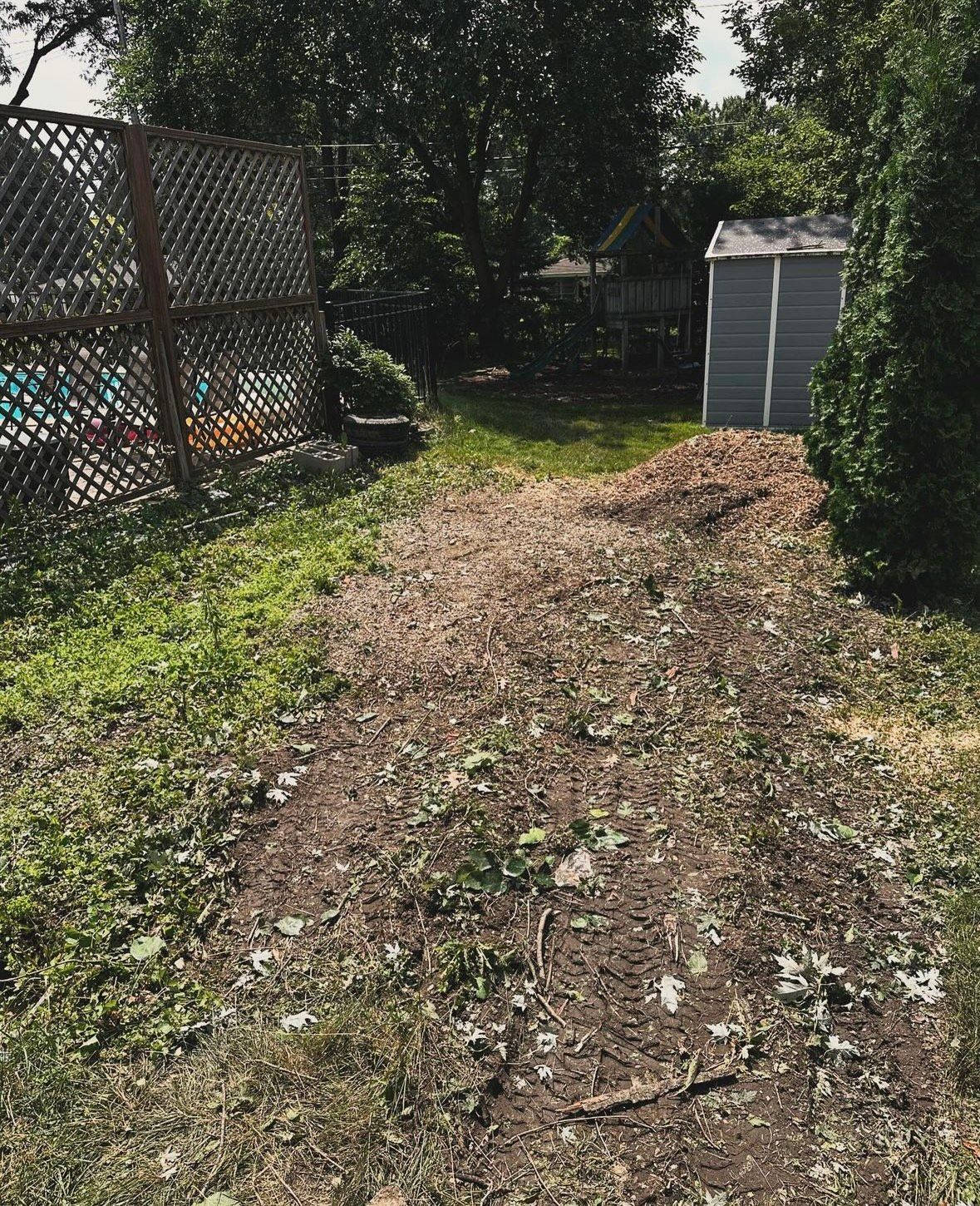 A dirt path leading to a shed in a backyard