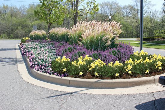 A circular garden with purple and yellow flowers on the side of a road.