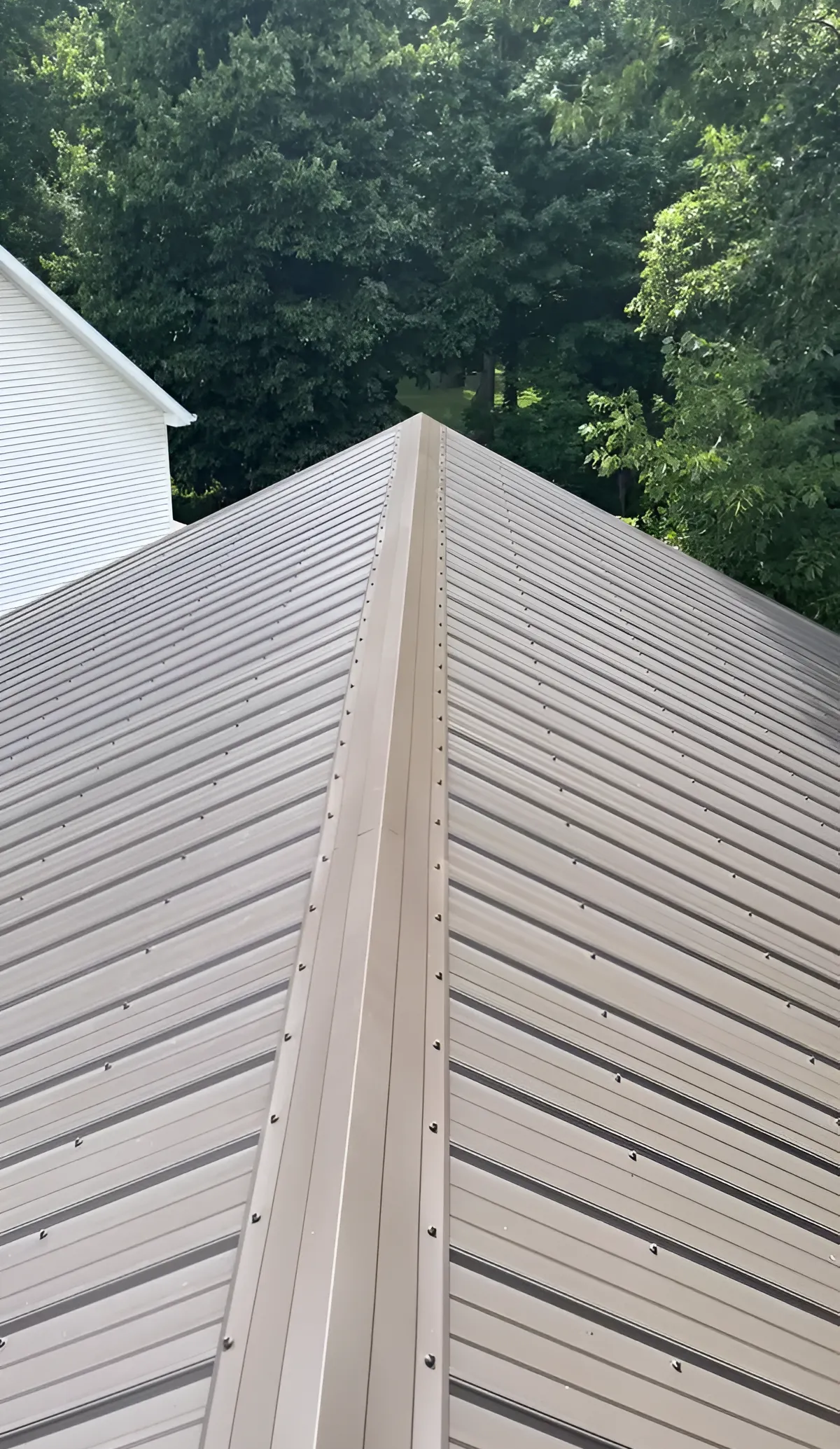 Wooden deck boards forming a pointed roofline beside a white house, with trees in the background.