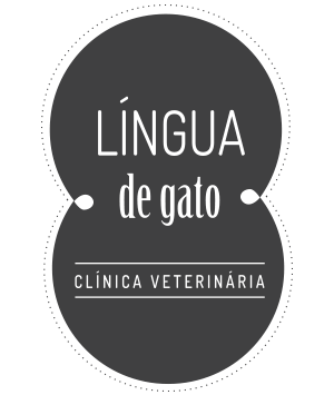 Lingua de gato