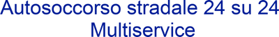Multiservice logo
