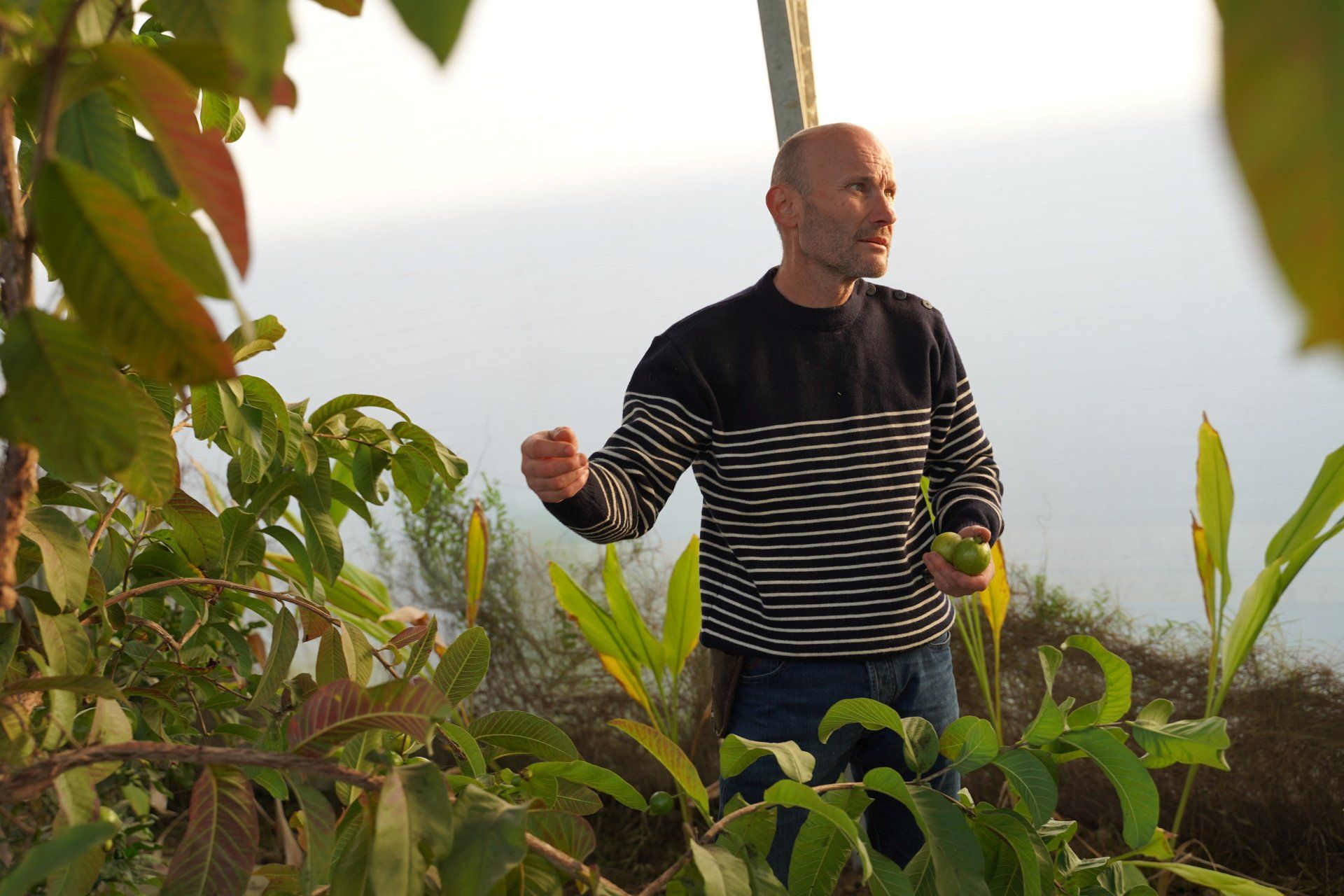 Agriculteur Torreilles