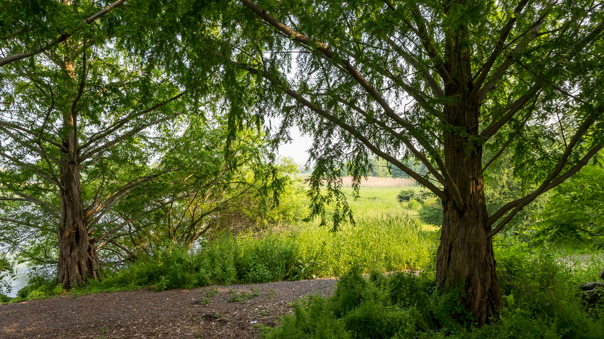 A close up of a person holding another person 's hand.