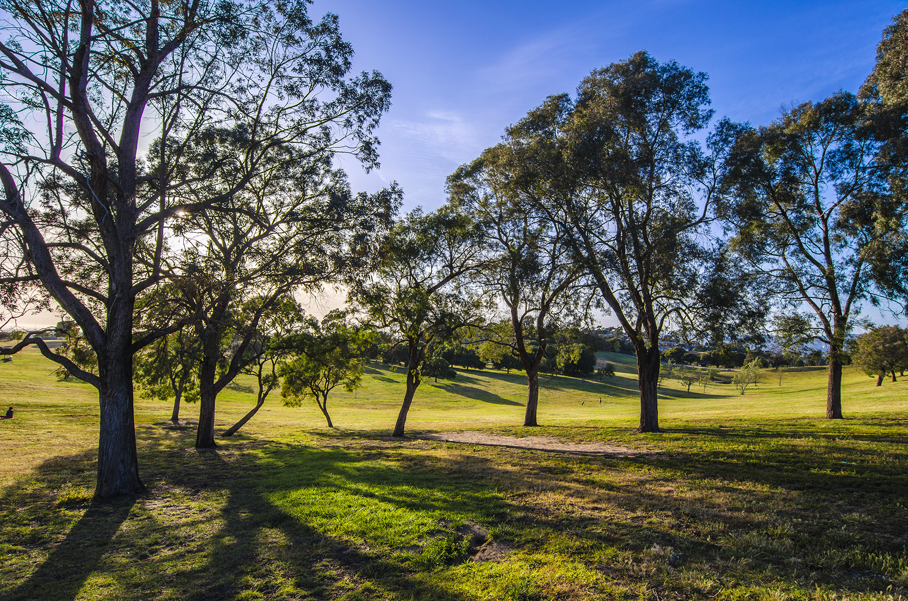 A person is holding a light bulb in their hand in the dark.