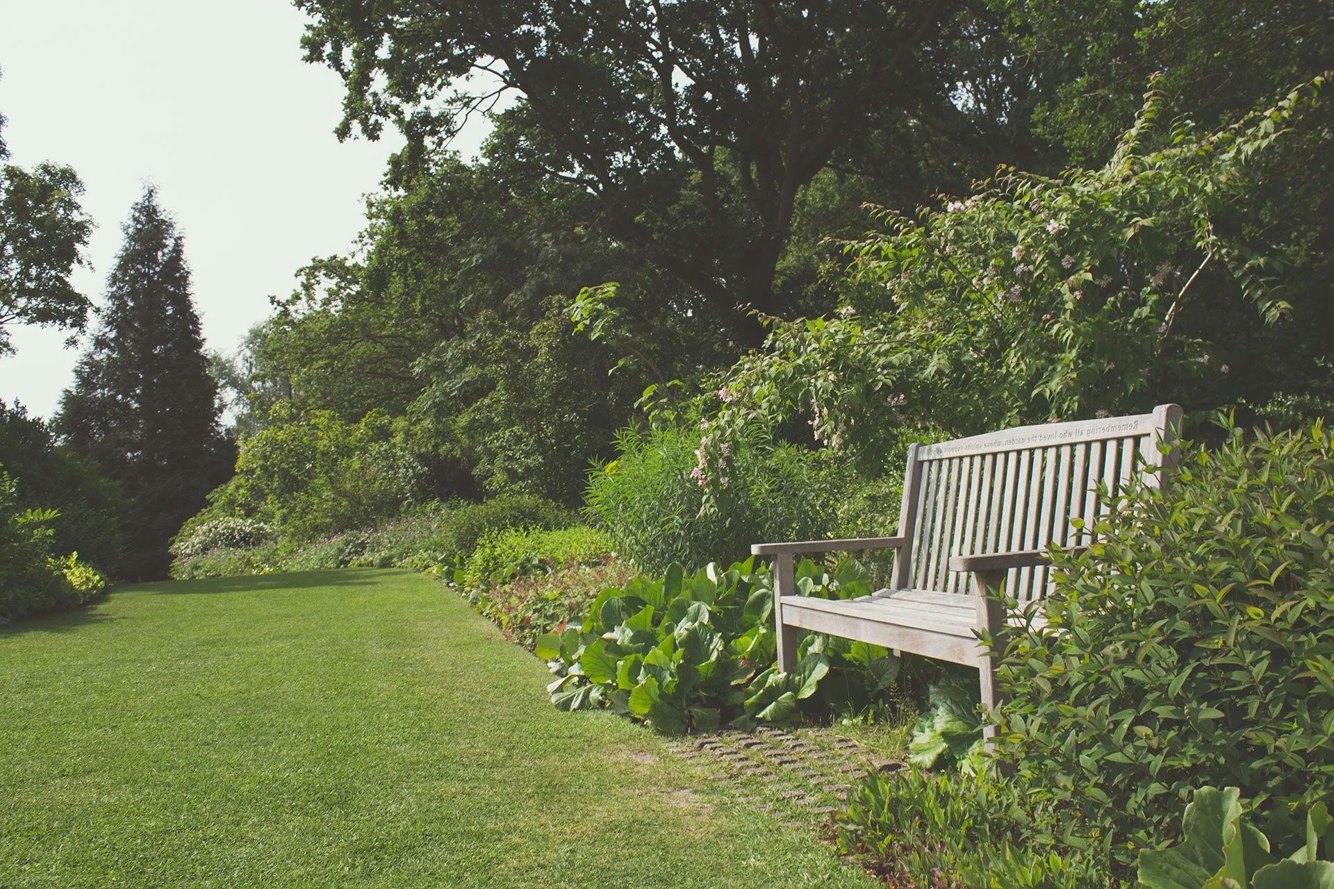 A group of people are posing for a picture together in an office.