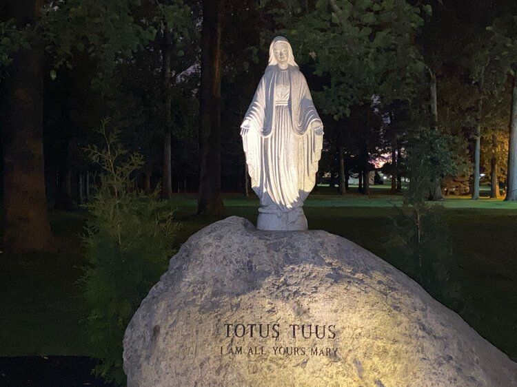 A statue of the virgin mary is sitting on top of a large rock.