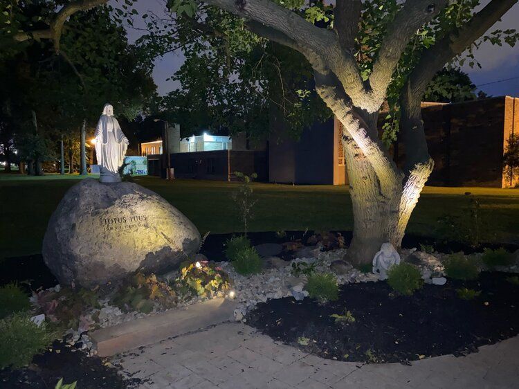 A statue of the virgin sitting on a rock under a tree at night