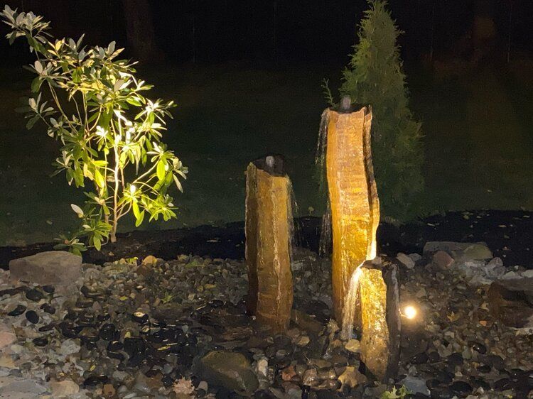 A fountain is lit up at night in a garden with a tree in the background.