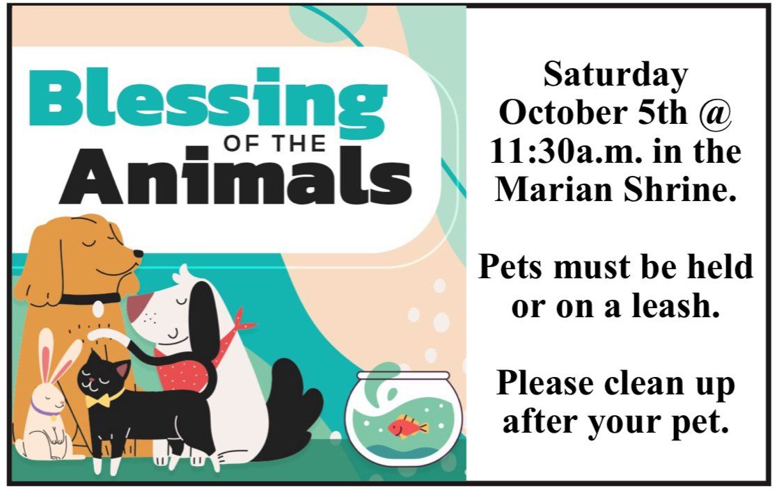 A poster for blessing of the animals on saturday october 5th