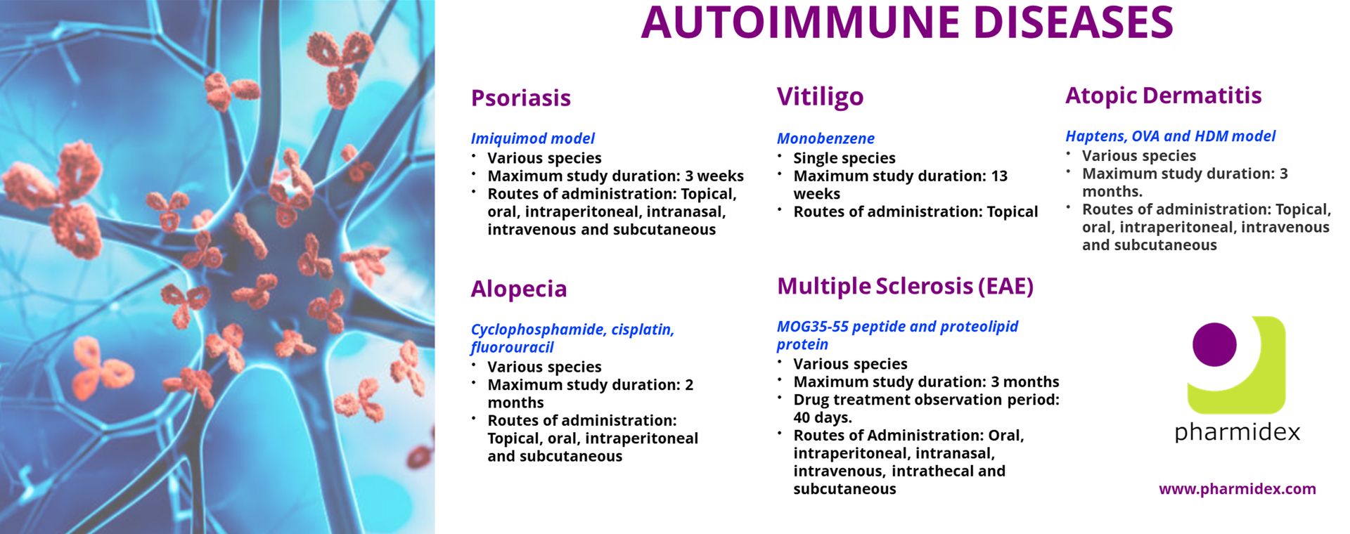  Autoimmune Research