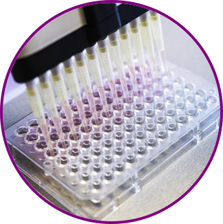 DISCOVERY BIOANALYSIS
