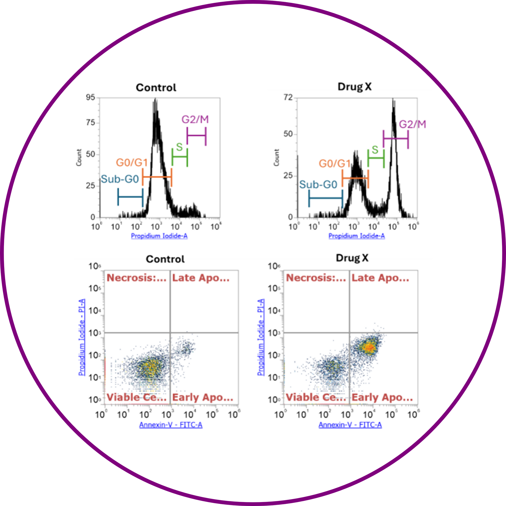 Flow Cytometry Botton