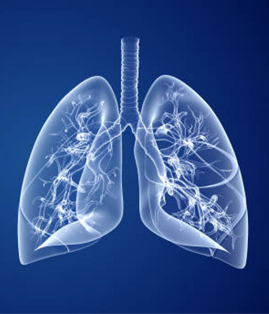 Respiratory services